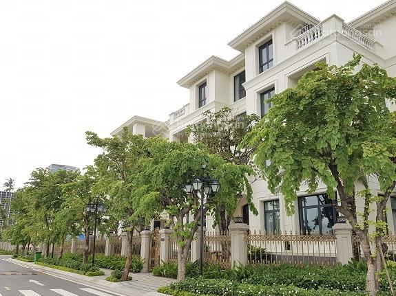 Biệt thự song lập 225m² | 4 tầng | đông bắc | vinhomes ba son quận 1  250 tỷ