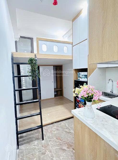Cho thuê cc mini 25m2, 4,3 triệu, tại trần khát chân, p bạch mai, q. hai bà trưng
