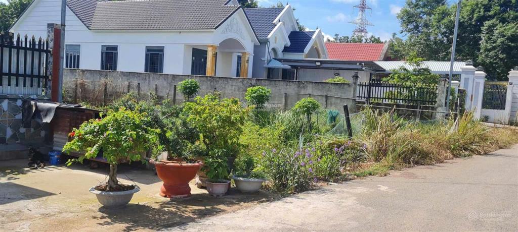 Bán đất chợ trừ văn thố 500m đường ô tô ngang 10m đang ngộp