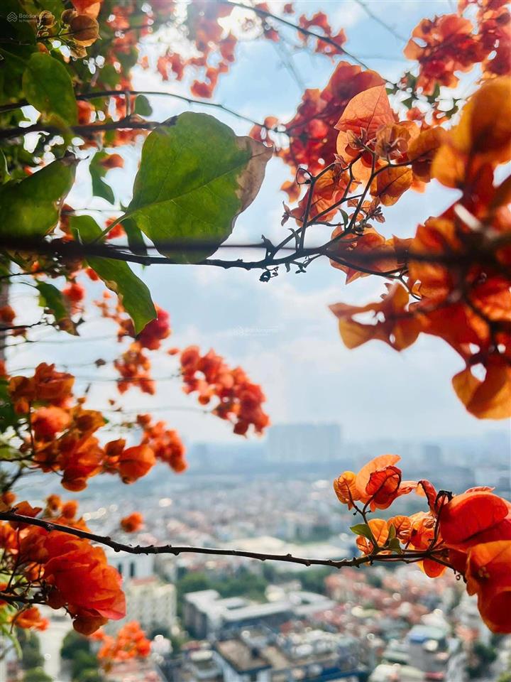 Bán chung cư vip 1 smile building số 1 nguyễn cảnh dị, hoàng mai. 102m2 3pn. 8,68 tỷ