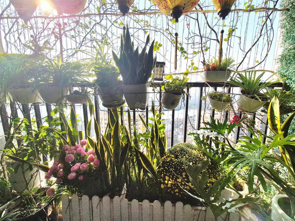 Bán chung cư vip 1 smile building số 1 nguyễn cảnh dị, hoàng mai. 102m2 3pn. 8,68 tỷ