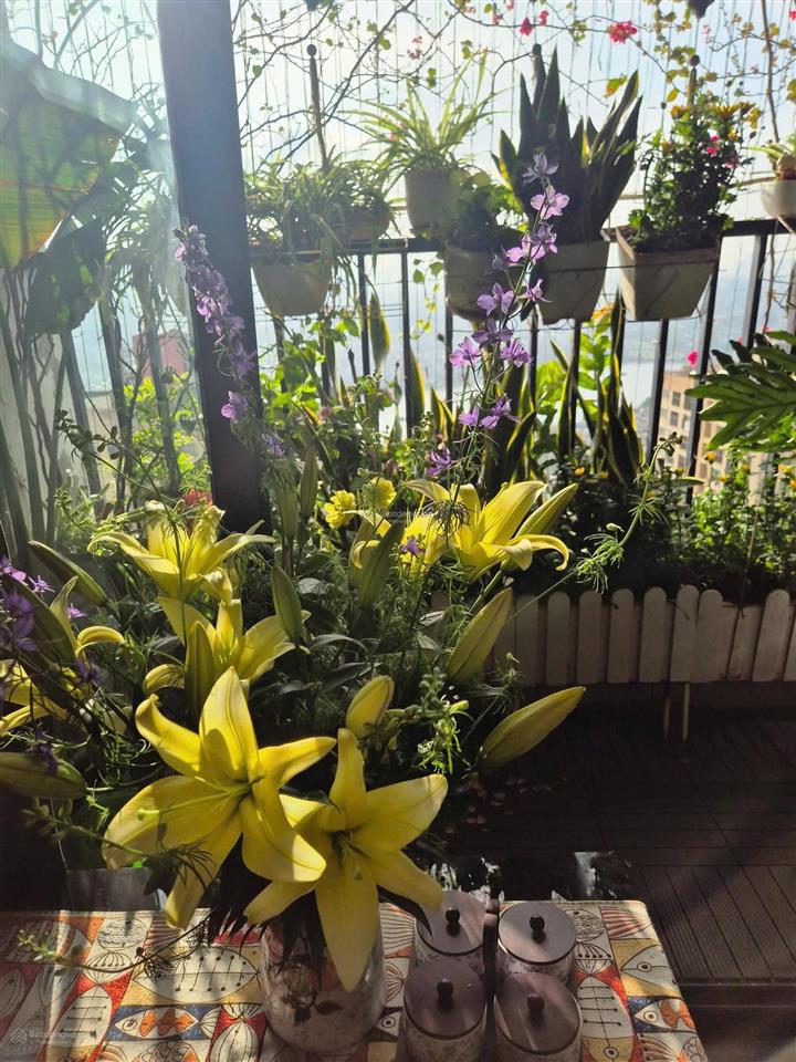 Bán chung cư vip 1 smile building số 1 nguyễn cảnh dị, hoàng mai. 102m2 3pn. 8,68 tỷ