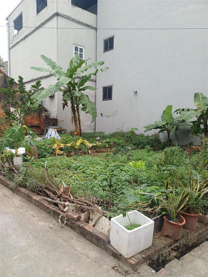 Bán đất đẹp quang tiến, sổ đẹp " khuôn vàng, thước ngọc" s 43,5m2, hàng hiếm ở nam từ liêm