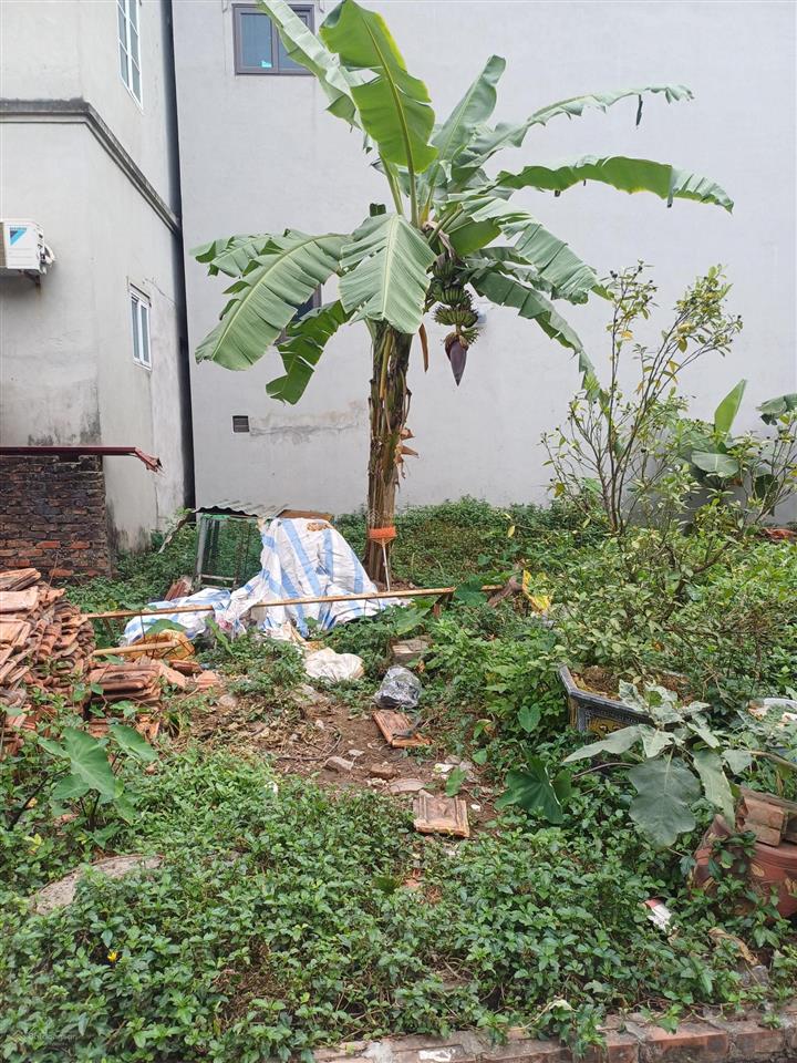 Bán đất đẹp quang tiến, sổ đẹp " khuôn vàng, thước ngọc" s 43,5m2, hàng hiếm ở nam từ liêm