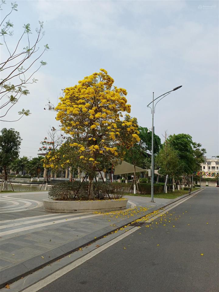 Bán đất xuân phương, nam từ liêm, giá giảm sốc! 3,65 tỷ, diện tích 30,5 m2, sổ đỏ sẵn sàng gd
