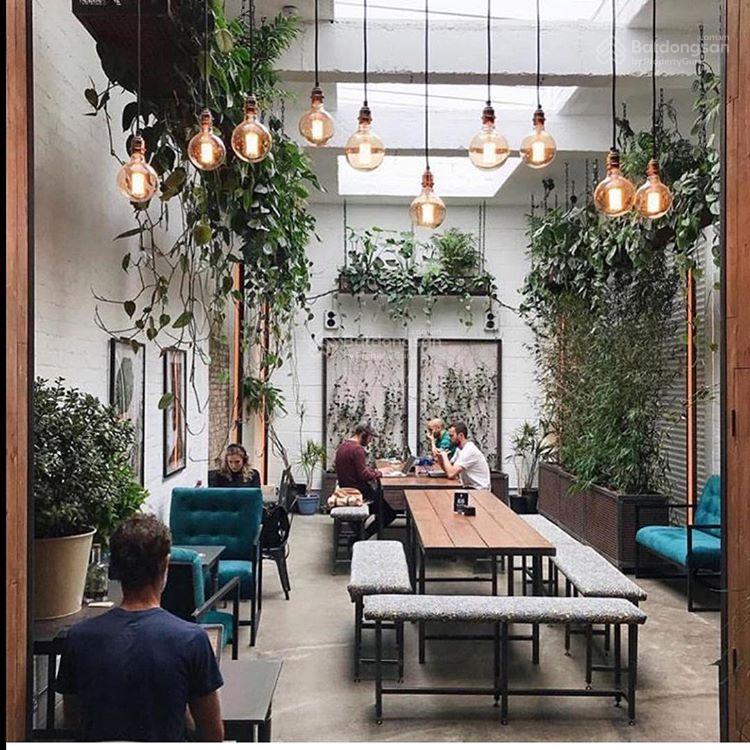 Siêu phẩm hot tại quang trung  hoàn kiếm vị trí đắc, lô góc 80mx2t, mt 15m, giá siêu tốt