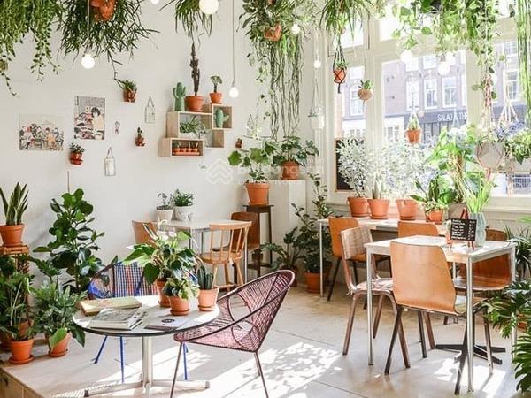 Siêu phẩm hot tại quang trung  hoàn kiếm vị trí đắc, lô góc 80mx2t, mt 15m, giá siêu tốt