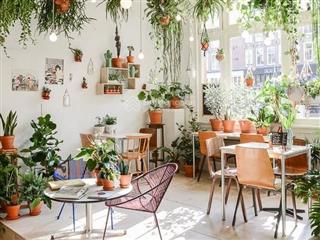 Siêu phẩm hot tại quang trung  hoàn kiếm vị trí đắc, lô góc 80mx2t, mt 15m, giá siêu tốt