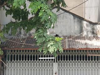 Nhà dương quảng hàm, p. 5, gv. dt 6m x 22m nhà c4, tiện xây mới, đường 7m  giá 14ty tl