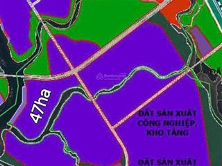 M&a dự án gần 48ha (skc) tân hòa p. phú mỹ, bà rịa vũng tàu hcm