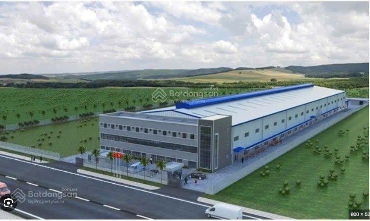 Quỹ đất 50ha (cln) tân hiệp, long tân xã đất đỏ, brvt  hcm