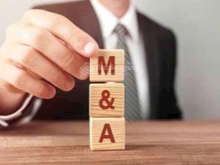 M&a da 11.8ha cao & thấp tầng phạm văn chiêu, p12, gò vấp