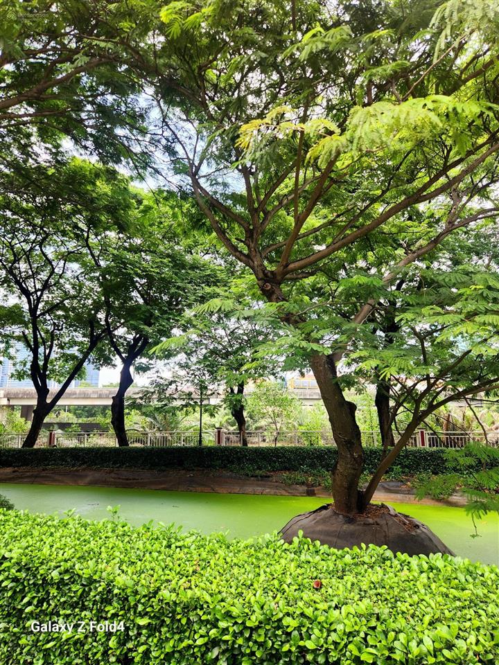 Bán biệt thự view sông căn gốc compound cityland quận 7 giá tốt thị trường