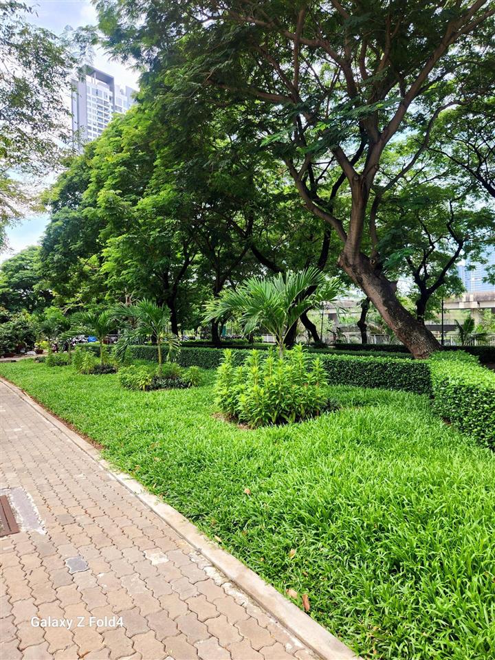 Bán biệt thự view sông căn gốc compound cityland quận 7 giá tốt thị trường