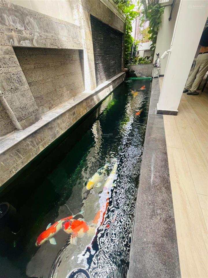 Bán biệt thự quận 7 | sadeco ven sông p. tân phong
dt 12,5m x 18m. kết cấu 1 hầm 3 lầu