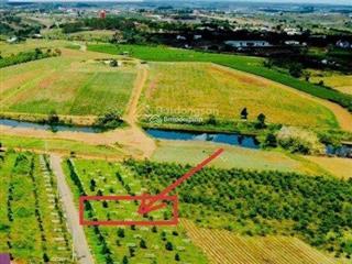 Cần bán đất ngay ngã 5 dambri, dt 305.3m2 có thổ cư sẵn sổ view săn mây cực đẹp, giá chỉ 1 tỷ 7