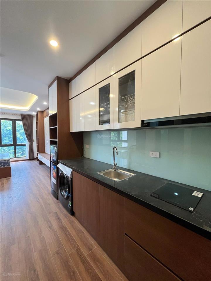 Cho thuê ccmn ô tô đỗ cửa nội thất cực xịn ngay cạnh goldmark