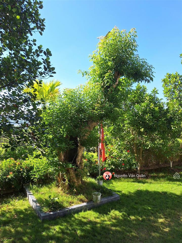 Siêu phẩm! biệt thự 500m2 săn nhà, 3 mặt tiền, view ra hồ giá 5.x tỷ tại trung tâm lương sơn