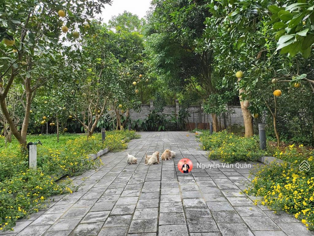 Villa nghỉ dưỡng đẳng cấp hòa lạc  đẳng cấp thượng lưu  view triệu.  0988 112 ***