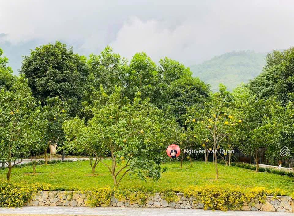 Villa nghỉ dưỡng đẳng cấp hòa lạc  đẳng cấp thượng lưu  view triệu.  0988 112 ***