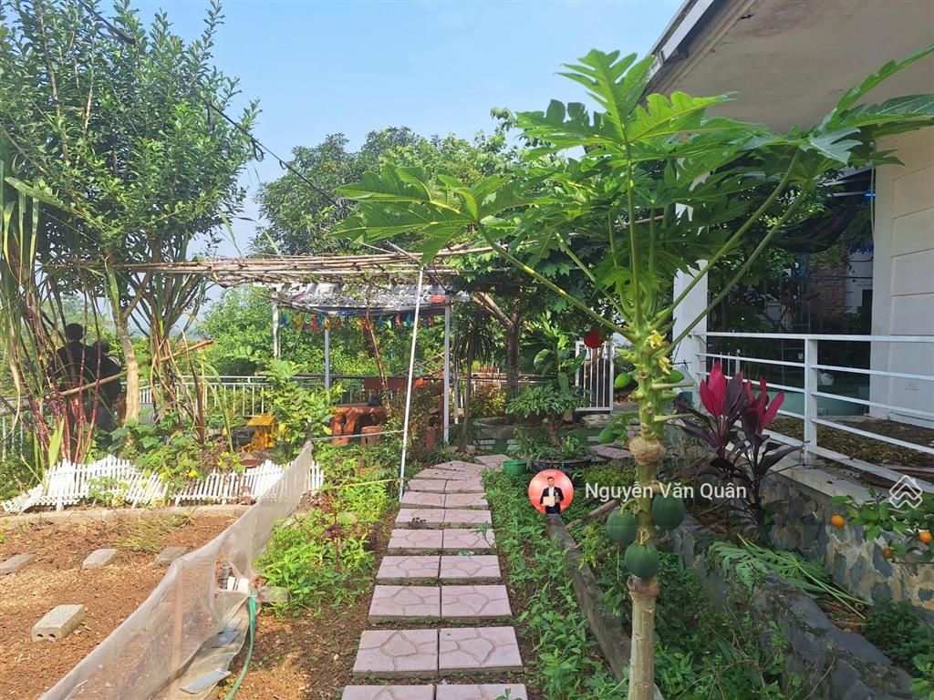 Hiếm có! 3.9 tỷ căn villa lô góc 309m2 full đồ, tại trung tâm lương sơn, view đẹp khu