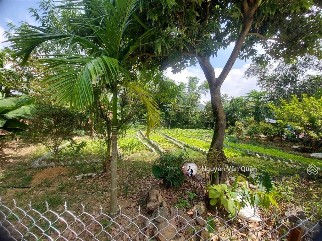 Cắt lỗ! 1ha có 400m2 đất ở và cln, sẵn khuôn viên đẹp, gần sân golf sky lake, gần đường vành đai 5