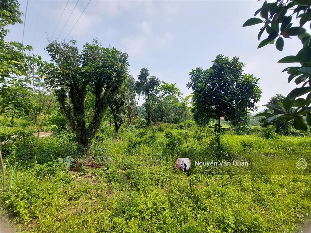Cắt lỗ! 1ha có 400m2 đất ở và cln, sẵn khuôn viên đẹp, gần sân golf sky lake, gần đường vành đai 5