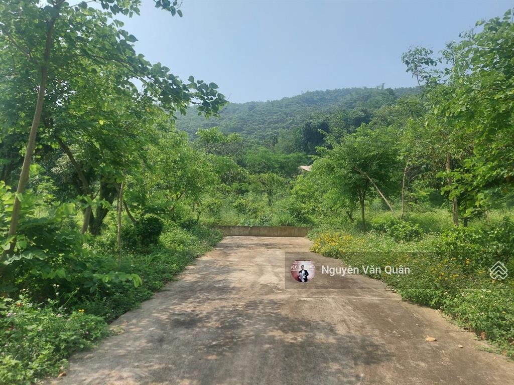 Cắt lỗ! 1ha có 400m2 đất ở và cln, sẵn khuôn viên đẹp, gần sân golf sky lake, gần đường vành đai 5