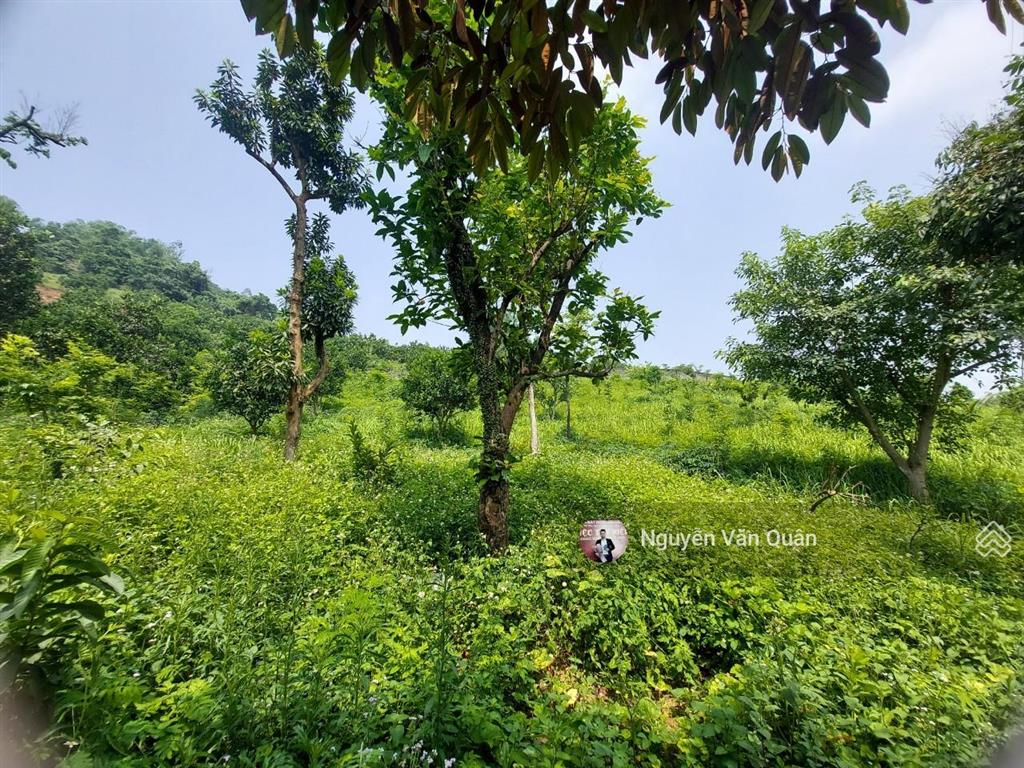 Cắt lỗ! 1ha có 400m2 đất ở và cln, sẵn khuôn viên đẹp, gần sân golf sky lake, gần đường vành đai 5