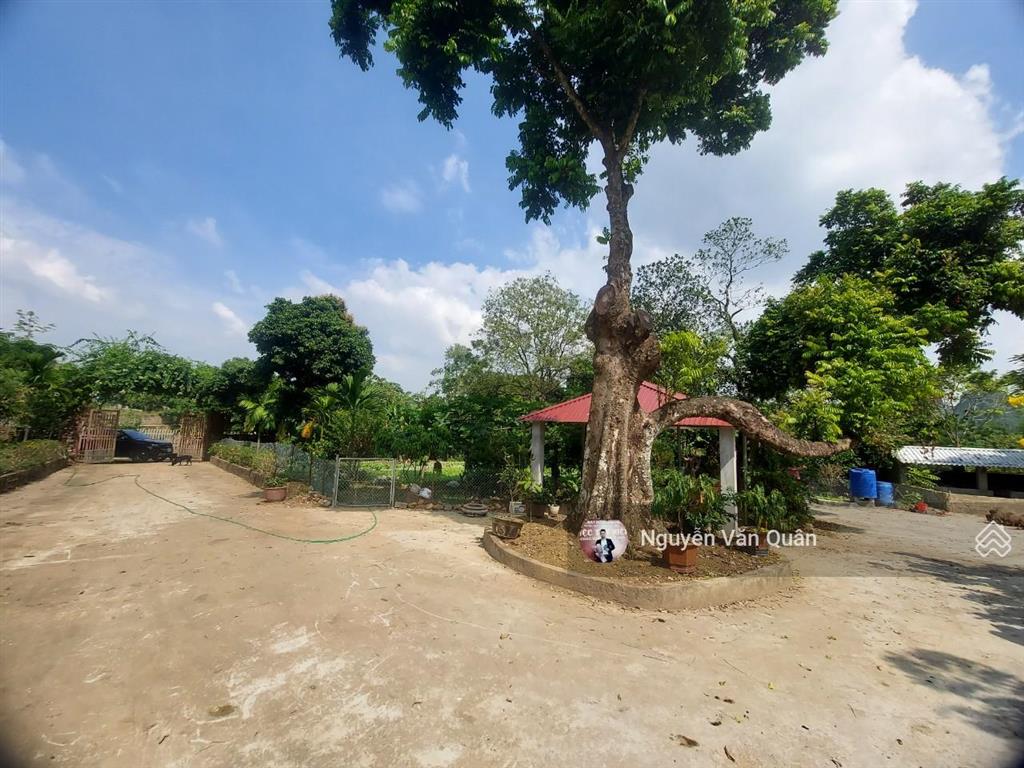 Cắt lỗ! 1ha có 400m2 đất ở và cln, sẵn khuôn viên đẹp, gần sân golf sky lake, gần đường vành đai 5