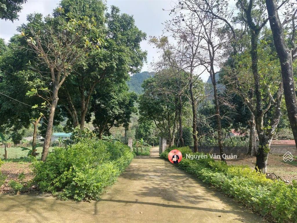 Cắt lỗ! cực hiếm! nhỉnh 1 triệu 1m2, s 8200m2 có 400m2 thổ cư, xe 45 chỗ, cách đường liên xã 50m