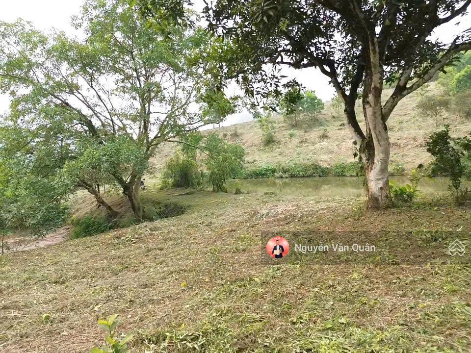 Cắt lỗ! cực hiếm! nhỉnh 1 triệu 1m2, s 8200m2 có 400m2 thổ cư, xe 45 chỗ, cách đường liên xã 50m