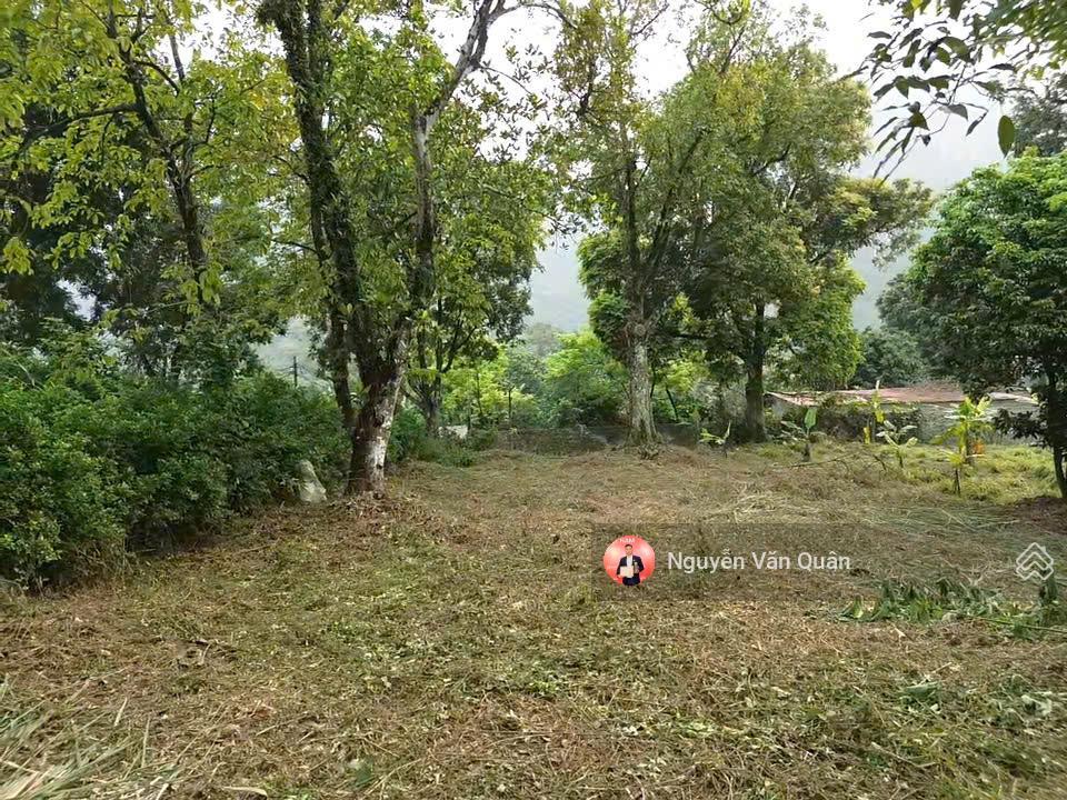 Cắt lỗ! cực hiếm! nhỉnh 1 triệu 1m2, s 8200m2 có 400m2 thổ cư, xe 45 chỗ, cách đường liên xã 50m