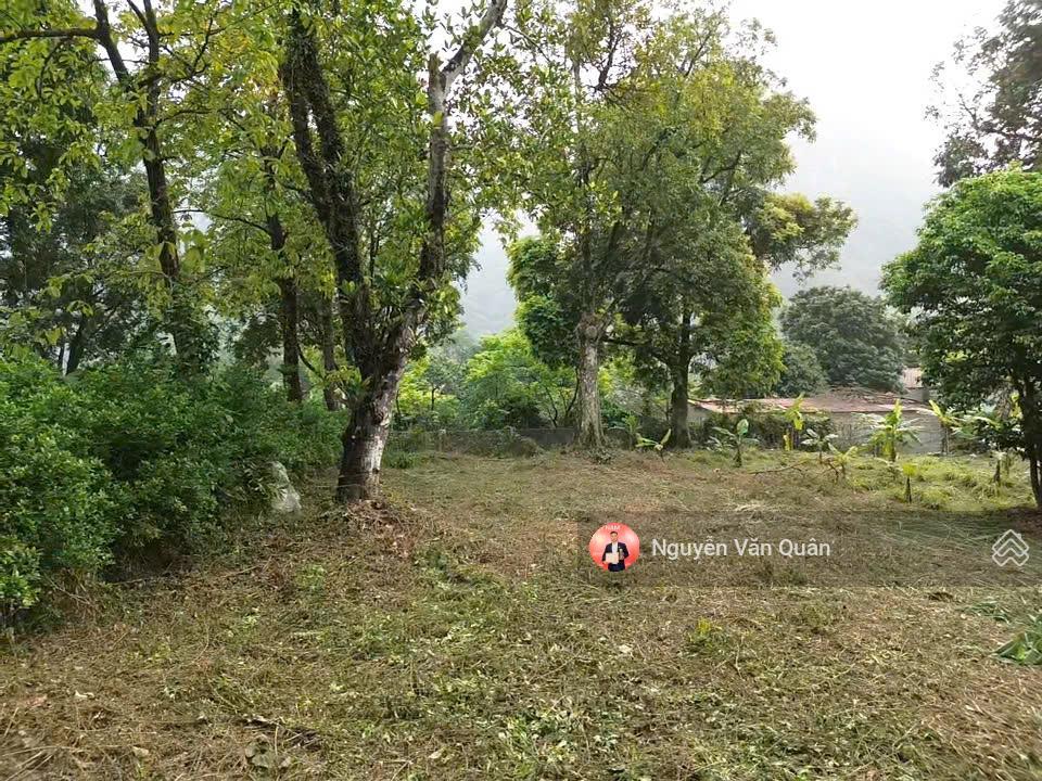 Cắt lỗ! cực hiếm! nhỉnh 1 triệu 1m2, s 8200m2 có 400m2 thổ cư, xe 45 chỗ, cách đường liên xã 50m