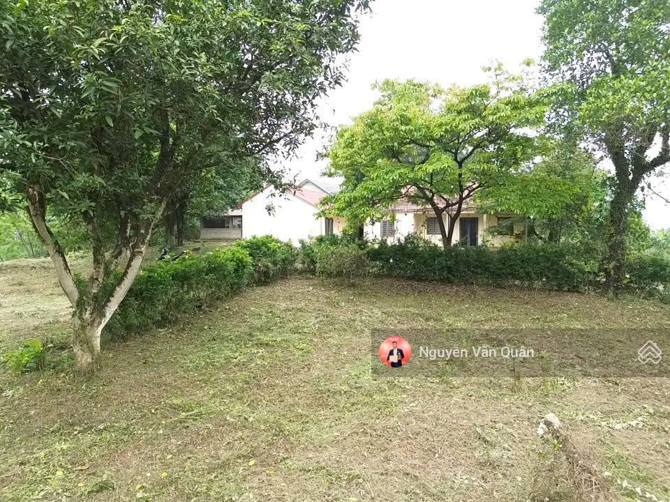 Cắt lỗ! cực hiếm! nhỉnh 1 triệu 1m2, s 8200m2 có 400m2 thổ cư, xe 45 chỗ, cách đường liên xã 50m