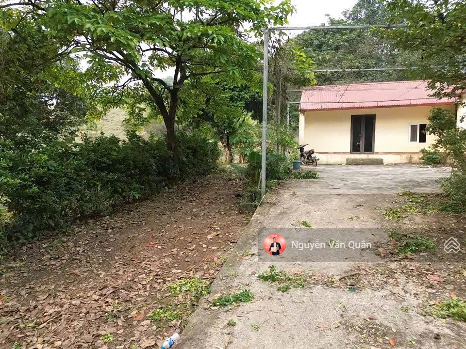 Cắt lỗ! cực hiếm! nhỉnh 1 triệu 1m2, s 8200m2 có 400m2 thổ cư, xe 45 chỗ, cách đường liên xã 50m