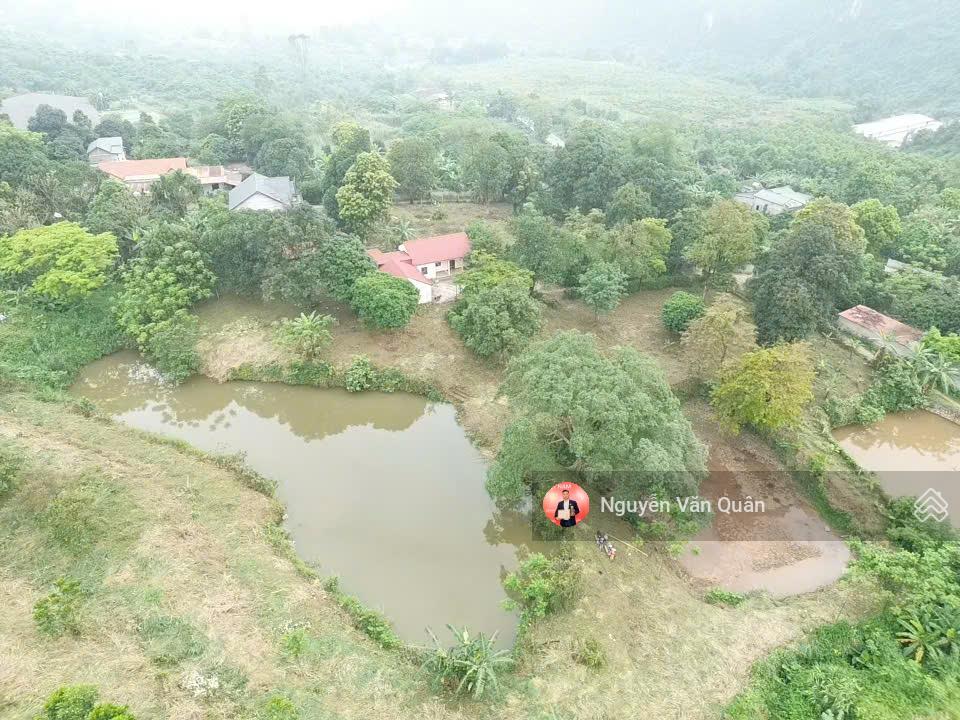 Cực hiếm! 8214m² có 400m² thổ cư, xe 45 chỗ, cách đường liên xã 50m