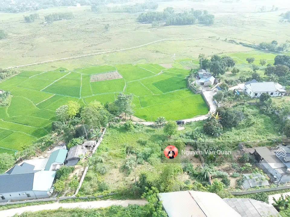 Cắt lỗ! chỉ 3.85 tỷ, 1.200m2 đất (ont + cln) đường lớn view cánh đồng tuyệt đẹp trung tâm lương sơn