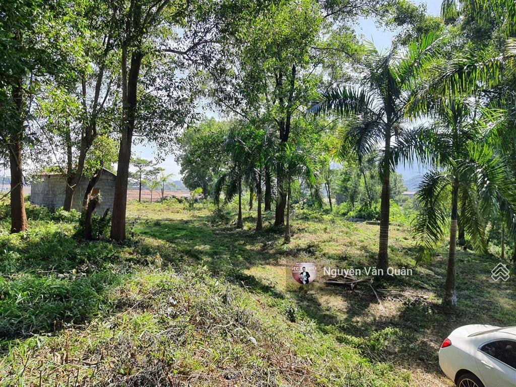 Siêu phẩm! bán đảo 6500m2 (500ont + cln) bám hồ đồng chanh, đẹp, đường 2 ô tô, view triệu đô