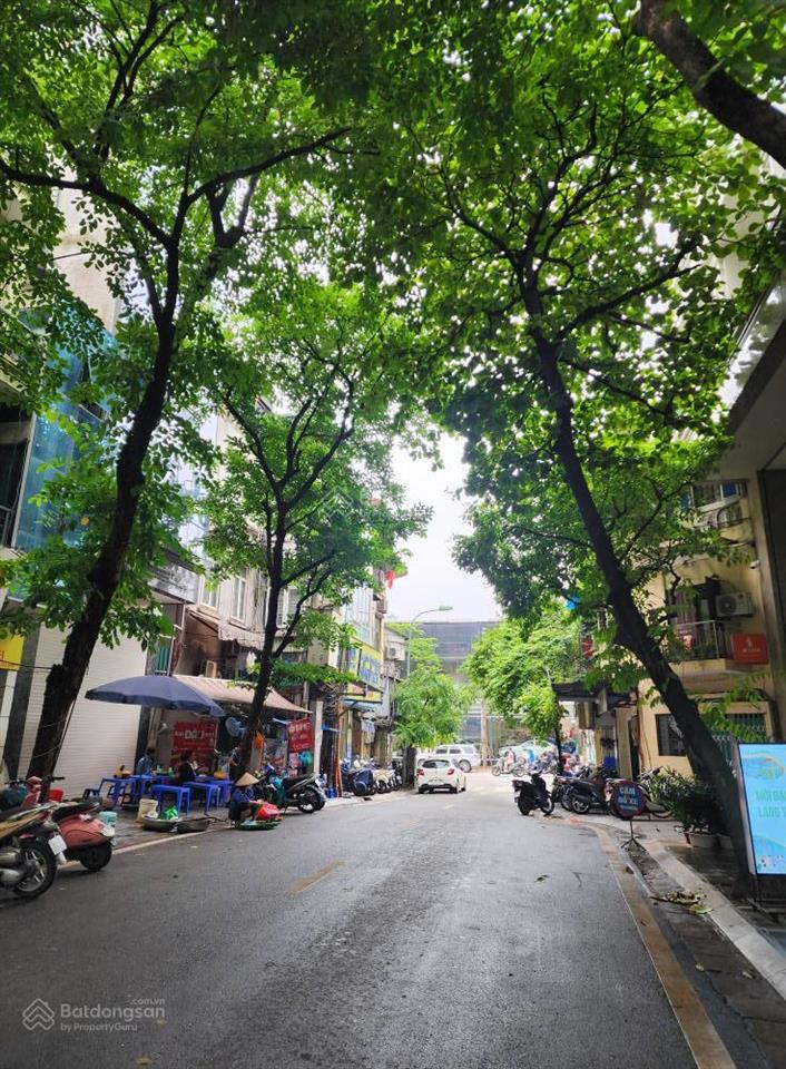 Bán đất mặt phố đỗ hành hai bà trưng 145m , mt 7m, giá 106 tỷ