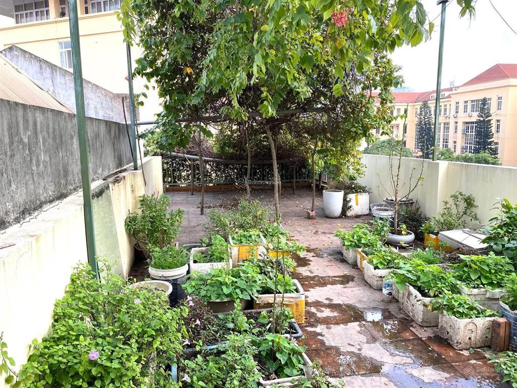 Giảm 1,5 tỷ , 23,5 tỷ lô góc xuân thuỷ , kd/vp, cty , 50m2, cách mp 30m