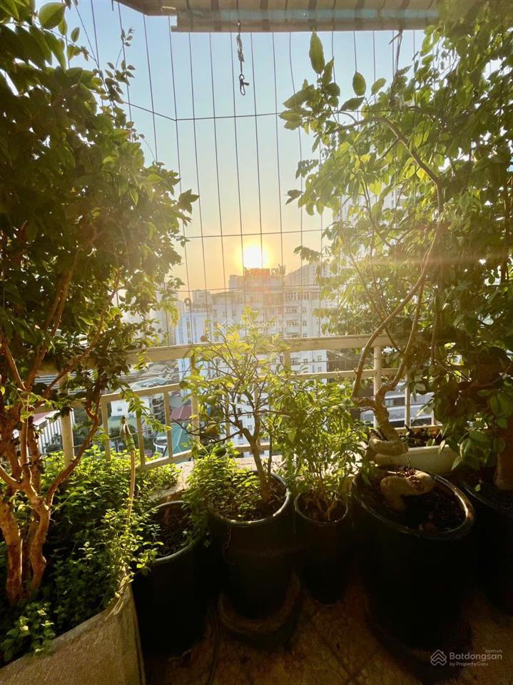 Chính chủ bán căn cienco1 hoàng đạo thuý, 110m2 thiết kế 3 ngủ tầng đep full nội thất giá 8.9tỷ