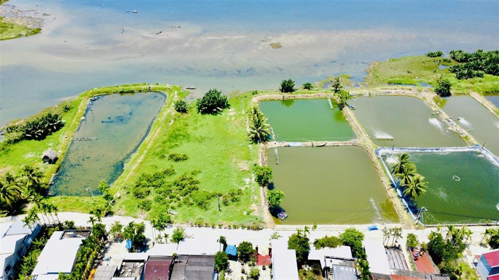 Bán đất biệt thự view trực diện sông cực đẹp  642m2 ngang 12.3m đường 5.5m mà giá chỉ 3tỷ8