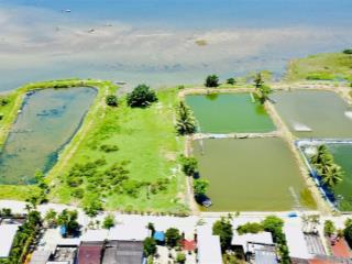 Bán đất biệt thự view trực diện sông cực đẹp  642m2 ngang 12.3m đường 5.5m mà giá chỉ 3tỷ8