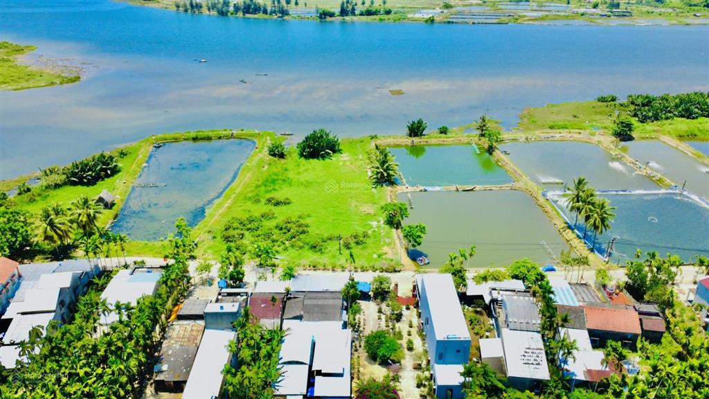 Bán đất biệt thự view trực diện sông cực đẹp  642m2 ngang 12.3m đường 5.5m mà giá chỉ 3tỷ8