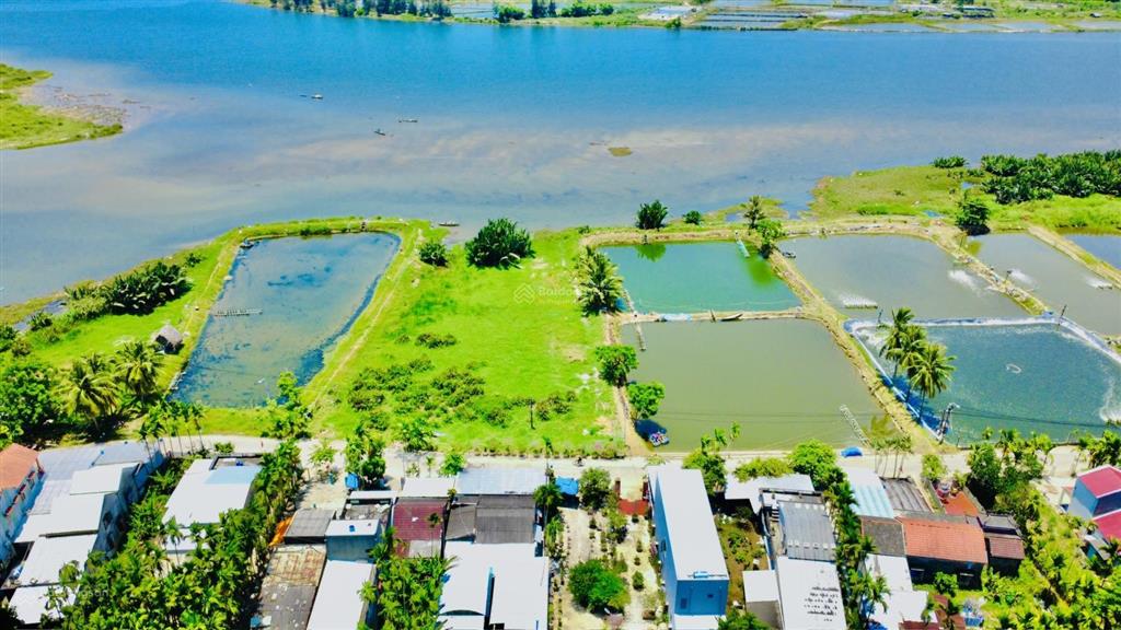 Bán đất biệt thự view trực diện sông cực đẹp  642m2 ngang 12.3m đường 5.5m mà giá chỉ 3tỷ8