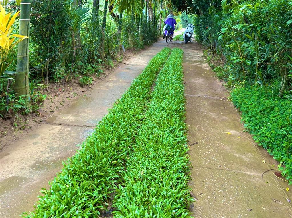 Bán gấp 2.395m2 ngang 72m cạnh làng du lịch triêm tây giá chỉ nhỉnh 12 tỷ