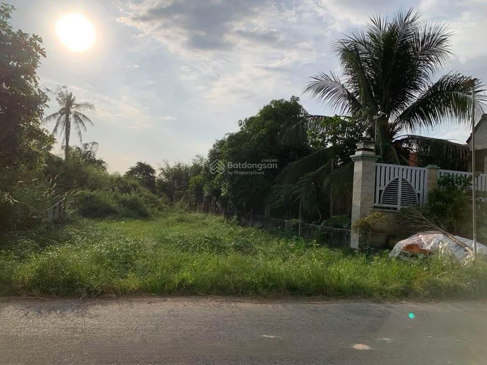 Siêu phẩm giá mềm! 284m2, mt 6m đường trương thị kiện, xã thái mỹ, củ chi. chỉ 1,6 tỷ