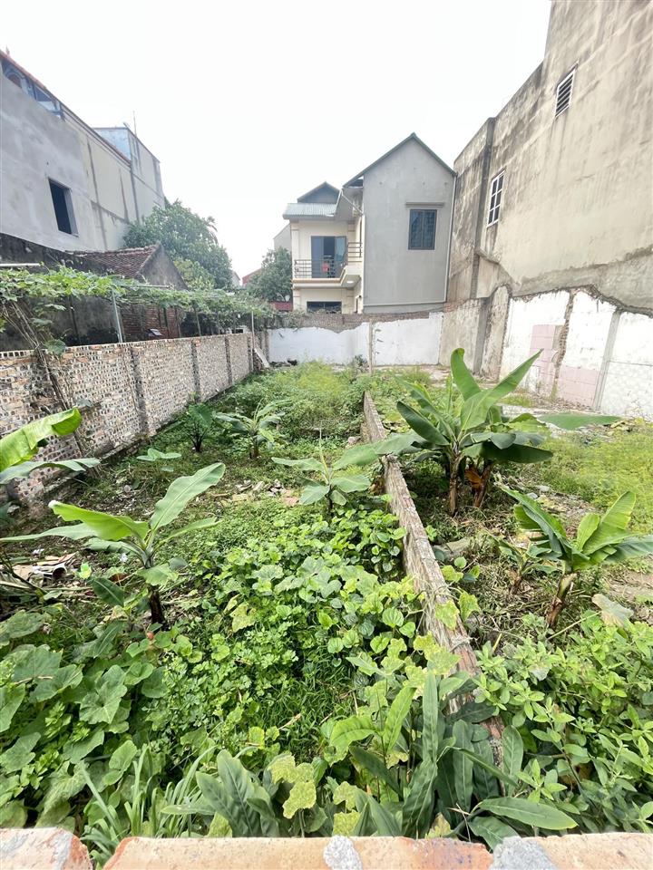 Bán 42m thuận an, cách 1 nhà ra trục chính, đường ô tô giá 3.5 tỷ có thương lượng