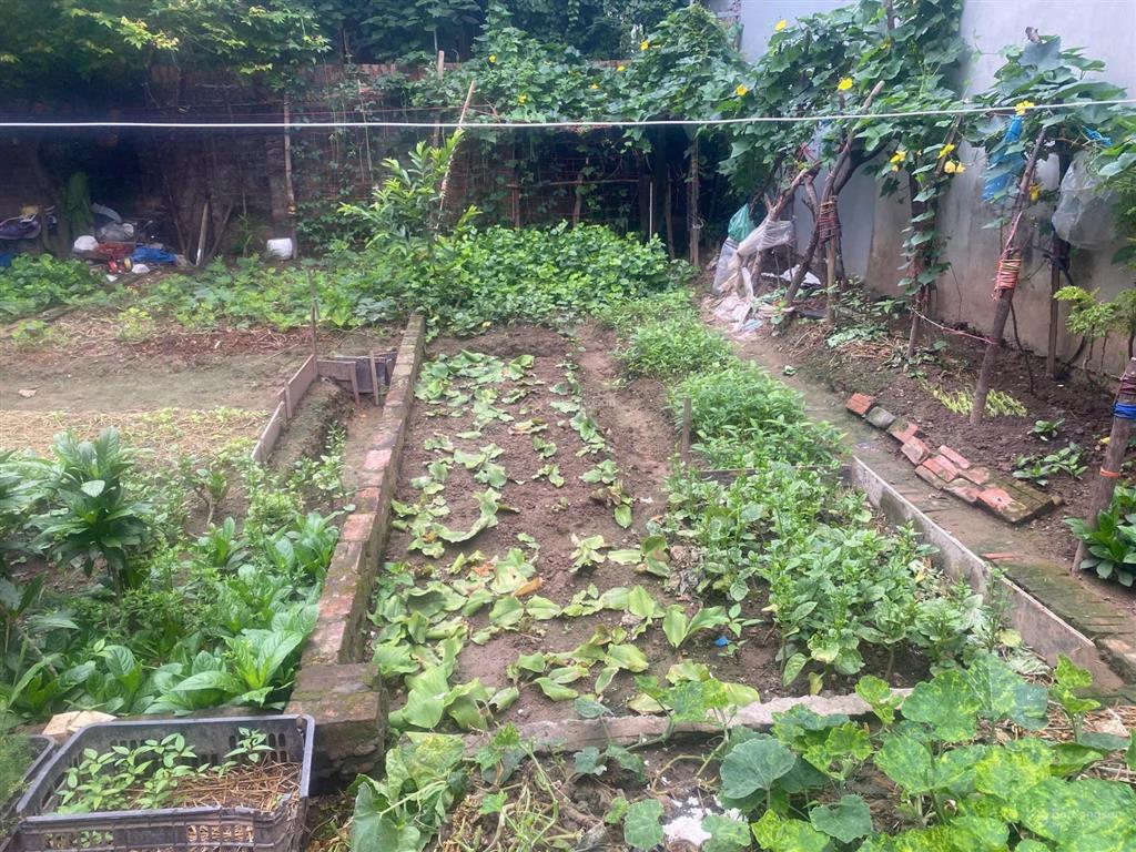 Bán đất 65m2 hai mặt thoáng view hồ công viên phố kim giang